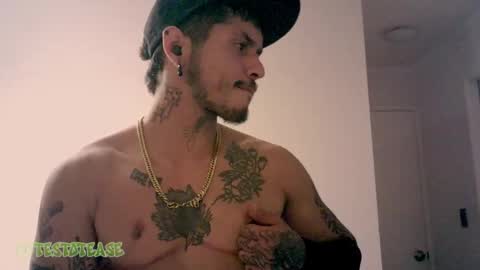 Milo online show from November 3, 2:23 am