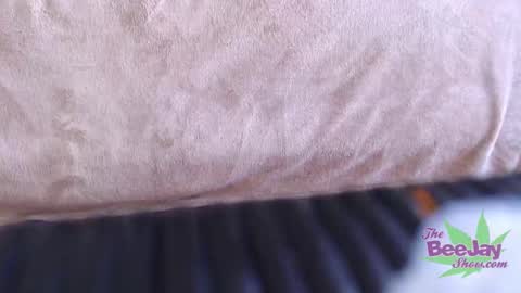 TheBeeJayShow online show from December 4, 4:26 am