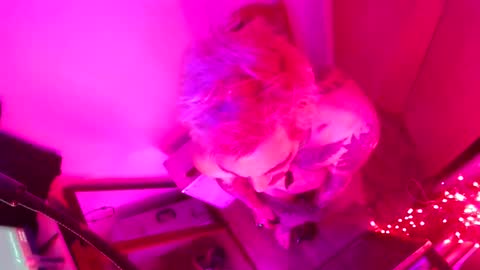 thedeman online show from March 1, 9:35 am