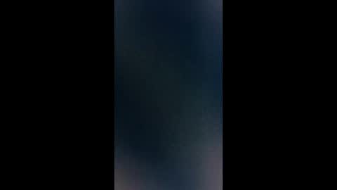 thehousedog online show from December 3, 11:33 am