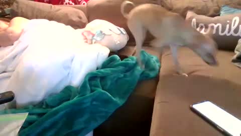 mellow online show from February 5, 3:55 am