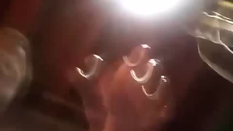 thickdick513 online show from December 21, 1:10 pm