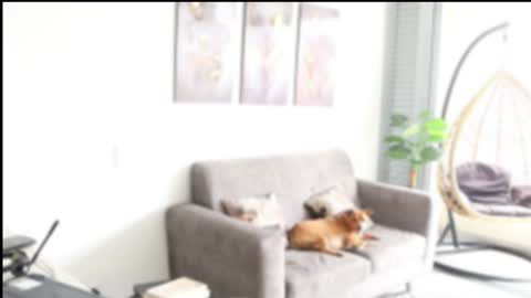 Sebastian online show from December 2, 4:59 pm