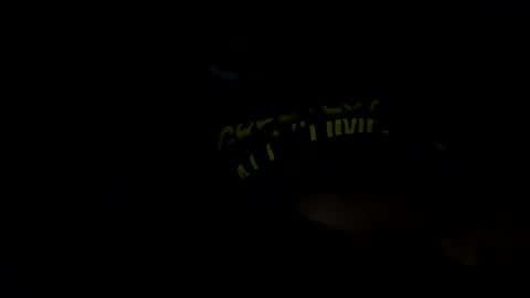 Thotyboy online show from October 26, 12:50 pm