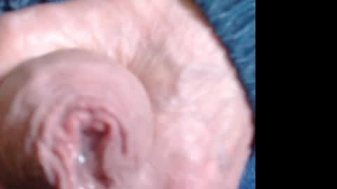 threephase323 online show from April 18, 6:32 pm