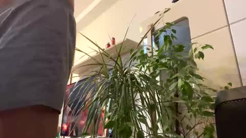 Tyler online show from November 16, 3:14 pm