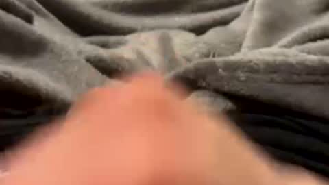 tmue online show from March 10, 4:11 pm