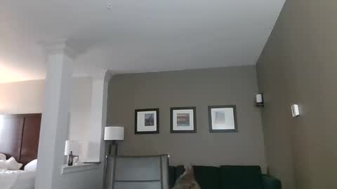 toomuchsmoke online show from February 6, 12:22 am