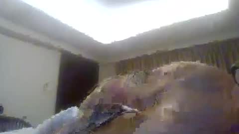 topfoxs30 online show from February 5, 1:14 pm