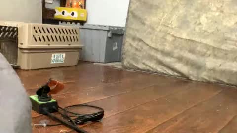 TopTierDrippa online show from March 3, 12:12 pm