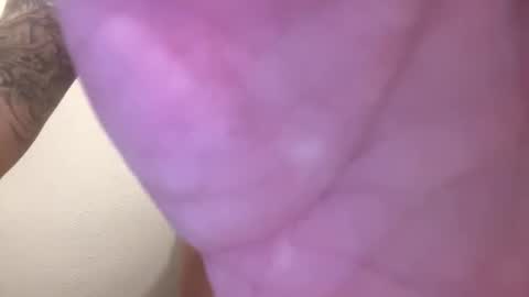 Snapshot of toronto5656 chatting on February 1, 5:07 am toronto5656 online show from February 1, 5:07 am