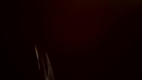 Snapshot of toronto5656 chatting on February 24, 11:54 am toronto5656 online show from February 24, 11:54 am