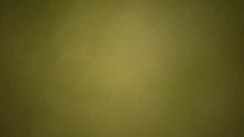 ts950295 online show from March 27, 11:11 am