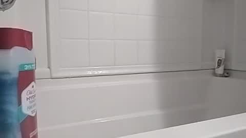 ttimmyt online show from November 16, 5:37 pm