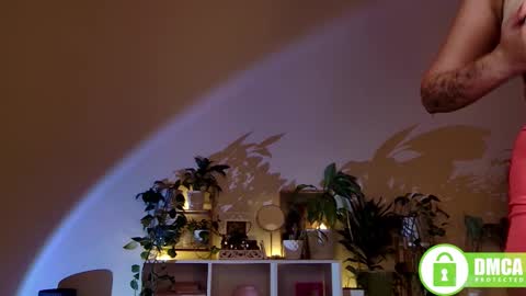 Stranger online show from December 2, 6:05 pm