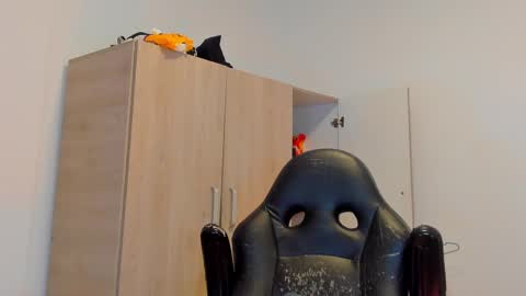     online show from March 2, 10:59 pm