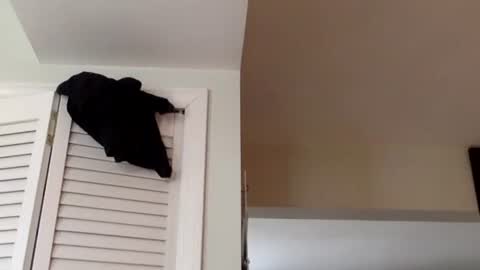 Tyler Durden online show from March 2, 1:38 pm