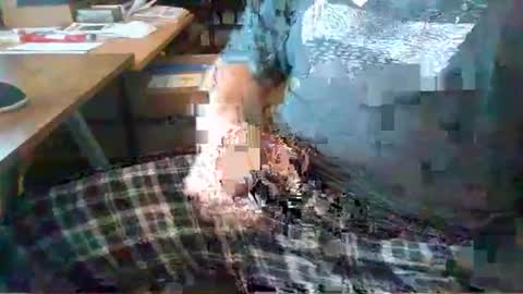 uncuthillbilly online show from February 15, 5:22 pm