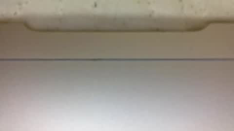 urasianblairexxx online show from March 14, 3:21 am