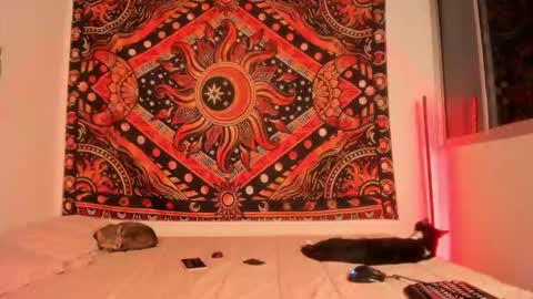    online show from March 12, 2:48 am