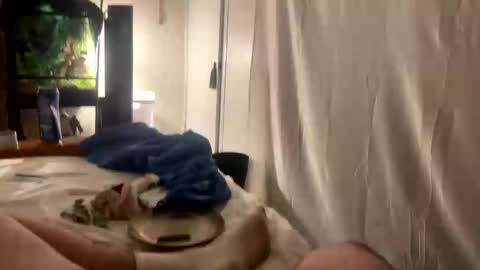 uticaafinest online show from November 3, 5:08 am