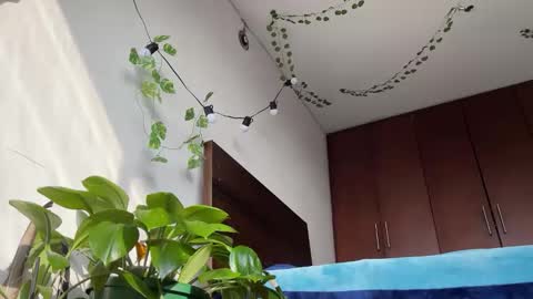   Valentin  independent Cam Boy     online show from March 11, 12:39 pm