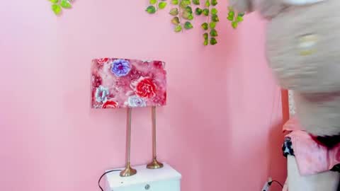 valentinee_xo online show from June 16, 12:36 am