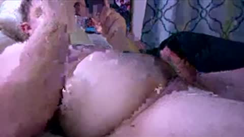 venturacock69 online show from January 11, 2:28 am