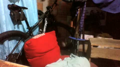viernes1010 online show from June 13, 12:37 pm
