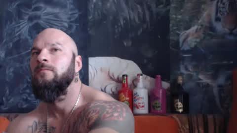 viking online show from November 30, 10:55 am