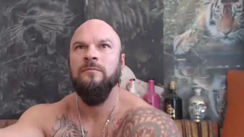 viking online show from November 2, 10:26 am