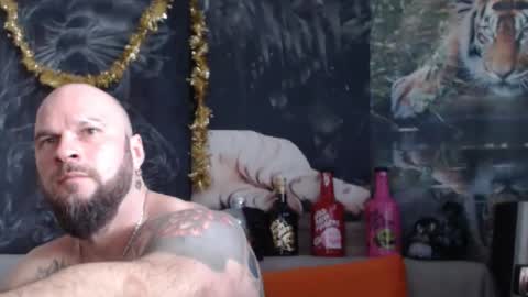 viking online show from February 13, 1:03 pm