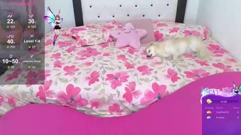 Violeta online show from February 3, 6:40 am