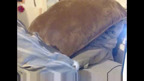 Vixen Fyre online show from October 1, 4:44 am