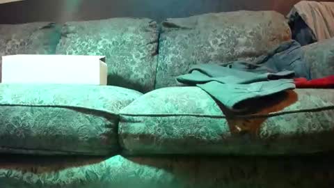 vknow online show from December 14, 7:09 pm