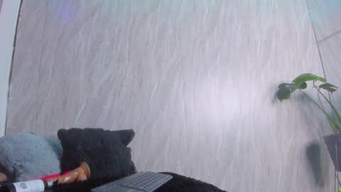  wanda  online show from December 20, 11:33 pm