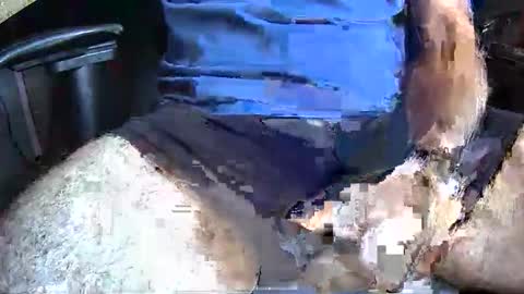 Rick online show from November 10, 2:53 pm