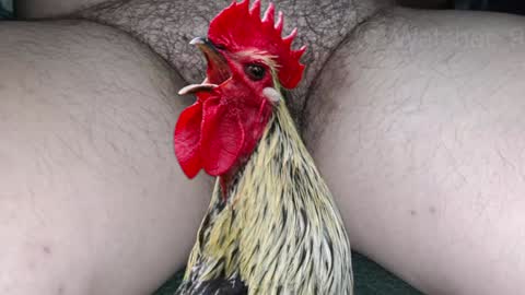 classified online show from December 2, 9:23 pm