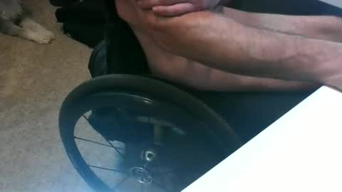 wheelhorny online show from April 13, 7:29 pm