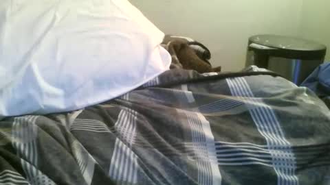 whiteboyslim21 online show from April 15, 6:17 am