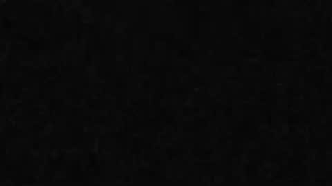 whitehead_lion online show from March 31, 6:52 pm