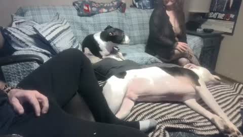 whynotforfun1 online show from January 10, 1:10 am