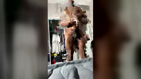 Dave online show from February 27, 2:26 am