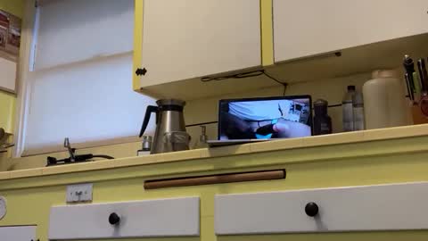 William online show from April 23, 2:08 pm