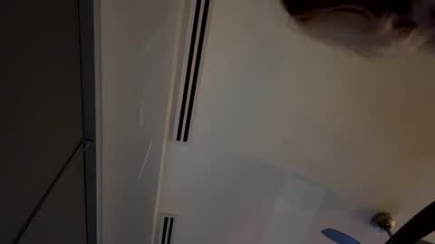 Winter rayne online show from October 19, 2:05 am