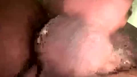 Witebull online show from December 7, 2:52 pm