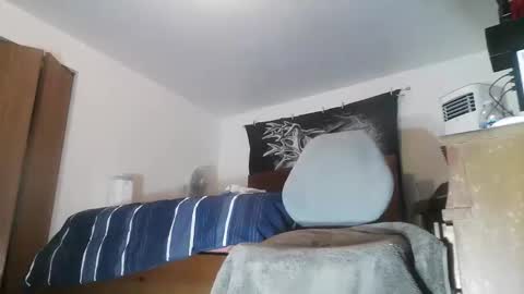 wolfman79 online show from April 8, 11:35 am