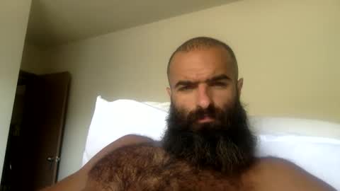 woof_wolf37 online show from June 1, 6:20 pm