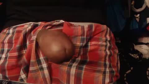 xentric777 online show from January 8, 7:36 am