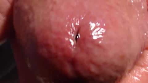 xloadzzz online show from November 28, 4:03 pm